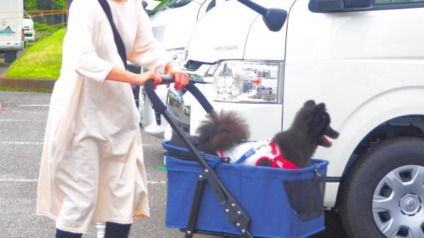 さいたまキャンピングカー商談会の写真2
